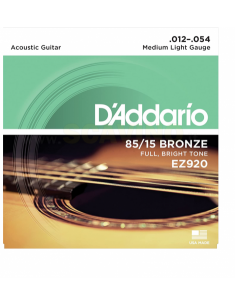 D'ADDARIO EZ920 American...