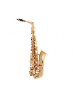 J.MICHAEL SAX ALTO AL500N...