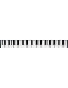 MECCANICA ROLAND CPA-5