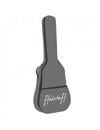 Borsa per Chitarra Acustica con 2...