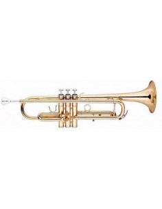 DAM DTR-100 Tromba con...