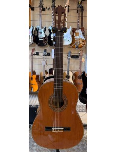 Washburn C50-S (USATO)