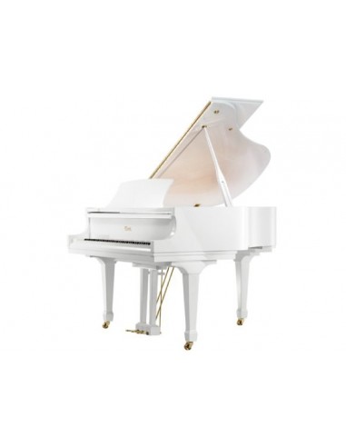 Niedermeyer GP 145 *EX-Demo* (White)