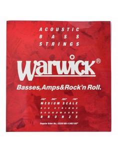 Warwick Acoustic Bass...